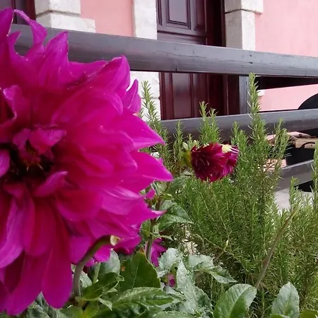 Chalet Mountain ηouse In Arcadia *