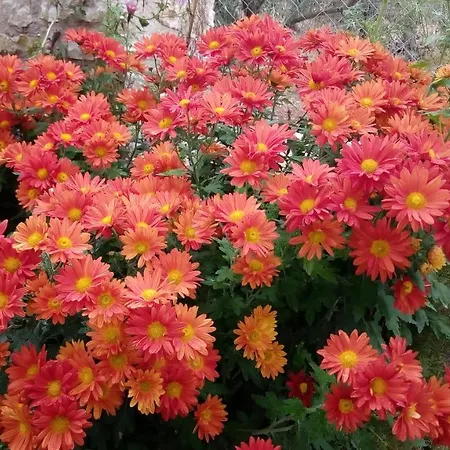 Mountain ηouse In Arcadia