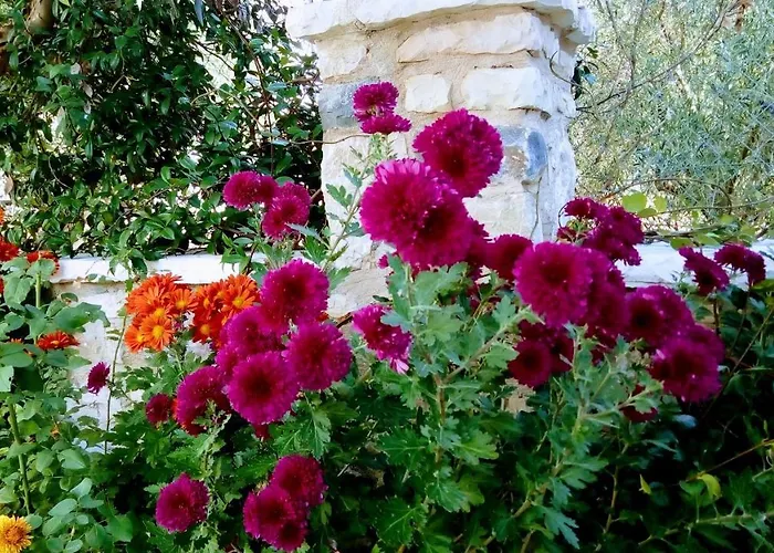 Mountain ηouse In Arcadia