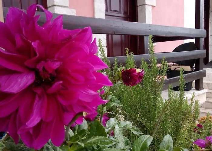 Alpstuga Mountain ηouse In Arcadia *