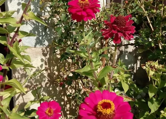 Mountain ηouse In Arcadia * Βυτίνα