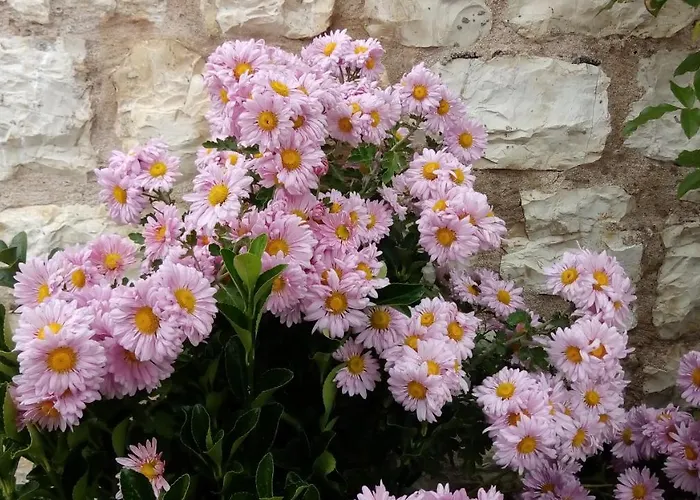 Mountain ηouse In Arcadia Alpstuga