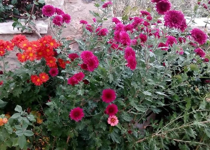 Mountain ηouse In Arcadia * Vytina