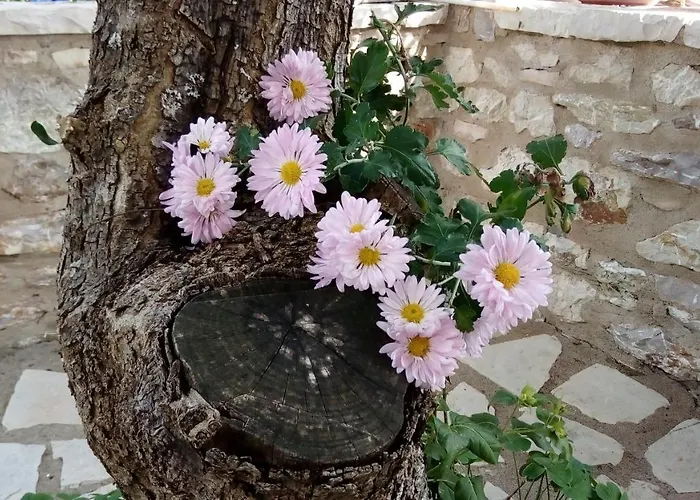 Mountain ηouse In Arcadia