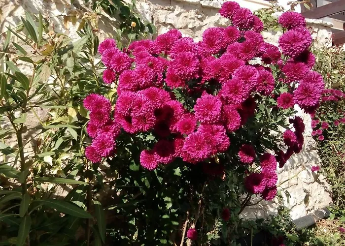 Mountain ηouse In Arcadia Σαλέ