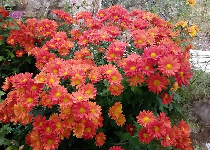 Mountain ηouse In Arcadia