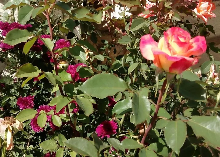 Mountain ηouse In Arcadia Σαλέ Βυτίνα